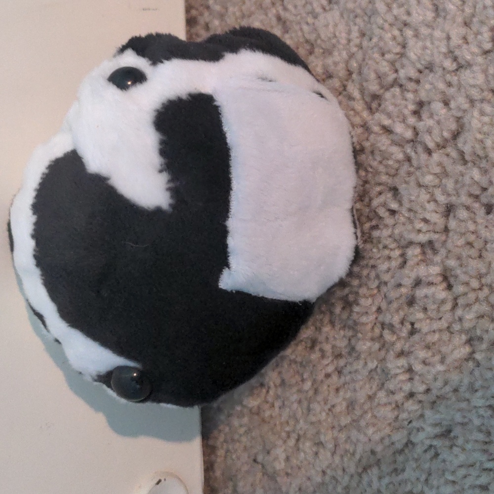 Pocket Pal #5